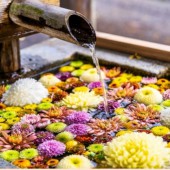 Hanachouzu: Hoa nở trên nước tại nơi linh thiêng ở Nhật Bản